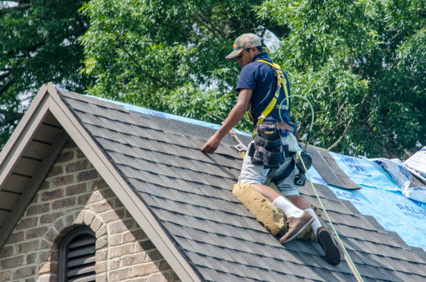 Best Storm Damage Roof Repair  in Daphne, AL